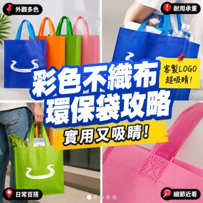 Hong Kong - Corporate Gifts 彩色不織布環保袋
